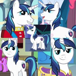 Size: 720x720 | Tagged: safe, artist:megalobronia, derpibooru import, edit, screencap, shining armor, a flurry of emotions, magical mystery cure, sparkle's seven, the crystalling, the one where pinkie pie knows, armor, collage, image, png, royal guard armor