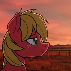 Size: 708x707 | Tagged: safe, artist:sefastpone, derpibooru import, big macintosh, earth pony, pony, bust, digital art, freckles, image, male, png, real life background, stallion, sunset