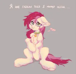 Size: 1899x1871 | Tagged: safe, artist:bastille, derpibooru import, roseluck, pony, behaving like a cat, collar, commission, commissioner:doom9454, cute, cyrillic, fluffy, image, pet tag, png, pony pet, rosepet, russian, sitting, text, translated in the description
