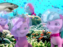 Size: 2048x1536 | Tagged: safe, derpibooru import, edit, edited screencap, screencap, izzy moonbow, pipp petals, earth pony, fish, pegasus, pony, shark, unicorn, adorapipp, air bubble, amazed, australia, bandana, bracelet, bubble, coral, cute, dahlia, derpibooru exclusive, description is relevant, female, flower, flower in hair, g5, great barrier reef, happy, image, irl, jazz (g5), jewelry, looking at you, mare, nervous, ocean, photo, png, ponies in real life, smiling, story included, this will not end well, tiara, underwater, water, wet