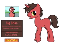 Size: 3774x2754 | Tagged: safe, artist:equestria secret guard, derpibooru import, oc, oc:big brian, unofficial characters only, pony, unicorn, banned from equestria daily, pony creator, chinese text, horn, image, male, moon runes, png, simple background, solo, stallion, transparent background, unicorn oc