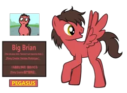 Size: 3774x2754 | Tagged: safe, artist:equestria secret guard, derpibooru import, oc, oc:big brian, unofficial characters only, pegasus, pony, banned from equestria daily, pony creator, chinese text, image, male, moon runes, pegasus oc, png, simple background, solo, stallion, transparent background, wings