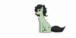 Size: 1920x966 | Tagged: safe, artist:nismorose, derpibooru import, oc, oc:anon, oc:anonfilly, earth pony, pony, chest fluff, female, filly, image, jpeg, no mouth, simple background, sitting, solo, white background