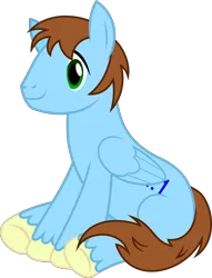 Size: 2048x2682 | Tagged: safe, artist:jp, derpibooru import, oc, unofficial characters only, pegasus, pony, derpibooru community collaboration, .svg available, 2023 community collab, derpibooru exclusive, image, male, png, simple background, sitting, solo, stallion, transparent background, vector