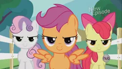 Size: 1366x768 | Tagged: safe, derpibooru import, screencap, apple bloom, scootaloo, sweetie belle, earth pony, pegasus, pony, unicorn, flight to the finish, season 4, badass, cutie mark crusaders, female, filly, foal, hearts as strong as horses, image, narrowed eyes, new episode, png, spread wings, the hub, trio, wings