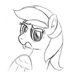 Size: 2200x2200 | Tagged: safe, artist:tigerbeetle, derpibooru import, rainbow dash, angry, derpibooru exclusive, disgusted, image, looking at you, monochrome, nose wrinkle, png, scowl, simple background, sketch, tongue out, white background, wings