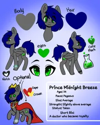 Size: 2000x2500 | Tagged: safe, artist:dubby doodles, derpibooru import, oc, oc:mb midnight breeze, pegasus, pony, accessories, blue mane, cape, clothes, commission, crown, cute, gray coat, green eyes, heart, image, jewelry, png, reference sheet, regalia, simple background, watch, wristwatch