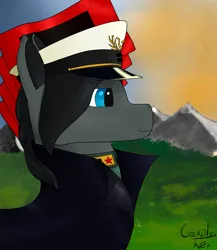 Size: 1300x1500 | Tagged: safe, artist:carolus rex, derpibooru import, oc, oc:sinnie, unofficial characters only, earth pony, pony, equestria at war mod, clothes, equality, flag, grass, hat, image, mountain, png, uniform
