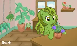 Size: 1788x1080 | Tagged: safe, artist:norlieth, derpibooru import, oc, unofficial characters only, earth pony, pony, background, digital art, earth pony oc, female, flower, full background, half body, herbs, image, png, pony oc, room, smiling, solo, window