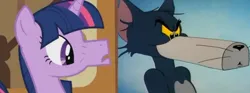 Size: 960x359 | Tagged: safe, derpibooru import, edit, edited screencap, screencap, twilight sparkle, cat, pony, unicorn, coincidence i think not, comparison, female, g4, image, jpeg, male, muzzle, tom and jerry, tom cat, unicorn twilight