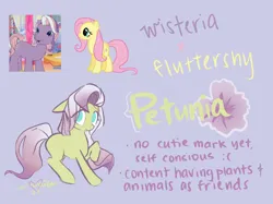 Size: 2732x2048 | Tagged: safe, artist:grayflower, derpibooru import, fluttershy, oc, oc:petunia, earth pony, blank flank, female, image, magical lesbian spawn, offspring, parent:fluttershy, parent:wisteria, png, shipping, shipping chart, wisteria g3