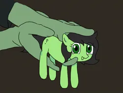 Size: 1080x810 | Tagged: safe, artist:omelettepony, ponerpics import, oc, oc:anon, oc:anonfilly, ponified, unofficial characters only, earth pony, human, pony, earth pony oc, female, filly, hand, holding a pony, image, jpeg, looking at you, open mouth, open smile, ponified animal photo, question mark, simple background, smiling