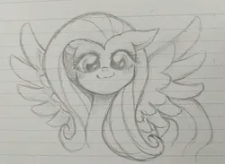 Size: 1381x1013 | Tagged: safe, artist:namaenonaipony, derpibooru import, fluttershy, pegasus, pony, cute, female, floppy ears, grayscale, image, jpeg, lined paper, looking at you, mare, monochrome, pencil drawing, shyabetes, smiling, smiling at you, solo, spread wings, traditional art, wings