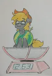 Size: 2660x3876 | Tagged: safe, artist:cirtierest, derpibooru import, oc, oc:cir tierest, earth pony, pony, cap, food, glasses, hat, image, jpeg, simple background, solo, traditional art, watermelon, white background