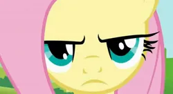 Size: 20000x10863 | Tagged: episode needed, safe, derpibooru import, fluttershy, angry, close-up, fluttershy is not amused, frown, image, jpeg, solo, unamused, zoomed in