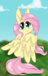 Size: 750x1185 | Tagged: safe, artist:pagophasia, derpibooru import, fluttershy, pegasus, pony, blushing, cloud, colored hooves, cute, daytime, derpibooru exclusive, female, frog (hoof), grass, image, impossibly long eyelashes, looking at you, looking back, looking back at you, png, raised hoof, shyabetes, sitting, solo, surprised, underhoof, unshorn fetlocks, wings