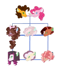 Size: 1162x1363 | Tagged: safe, artist:alawdulac, derpibooru import, cheese sandwich, pinkie pie, oc, oc:burnt sienna, oc:coffee cake, oc:esther rose, oc:honey bun, oc:java juice, oc:peppy swirl, earth pony, pony, cheesepie, family tree, female, image, male, mare, offspring, parent:cheese sandwich, parent:pinkie pie, parents:cheesepie, png, shipping, simple background, stallion, straight, transparent background