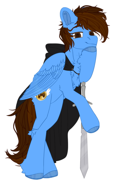 Size: 1945x3040 | Tagged: safe, artist:medkit, derpibooru import, oc, oc:sky game, unofficial characters only, pegasus, pony, derpibooru community collaboration, 2023 community collab, adam's apple, big eyes, chest fluff, cloak, clothes, cutie mark, ear fluff, eyes open, fluffy, folded wings, happy, horseshoes, image, long tail, looking at you, male, paint tool sai 2, png, short mane, simple background, sketch, smiling, solo, stallion, standing, standing on two hooves, sternocleidomastoid, sword, tail, transparent background, weapon, wings