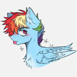 Size: 2000x2000 | Tagged: safe, artist:sandbarx3, derpibooru import, rainbow dash, pegasus, pony, image, male, multicolored hair, png, rainbow blitz, rainbow hair, rule 63, simple background, stallion, white background