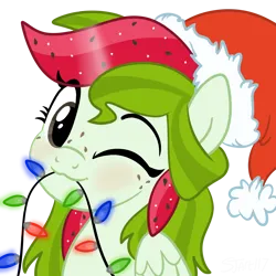 Size: 4096x4096 | Tagged: safe, artist:sjart117, derpibooru import, oc, oc:watermelana, unofficial characters only, pegasus, pony, :3, bust, christmas, christmas lights, female, freckles, hat, holiday, image, mare, mouth hold, one eye closed, png, portrait, santa hat, simple background, solo, transparent background, wings, wink