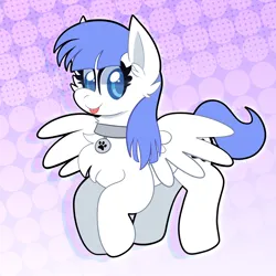 Size: 2000x2000 | Tagged: safe, artist:saveraedae, derpibooru import, oc, oc:snow pup, pegasus, pony, :p, collar, commission, female, flying, image, mare, png, solo, tongue out