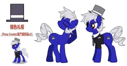 Size: 6744x3507 | Tagged: safe, artist:equestria secret guard, derpibooru import, oc, oc:miss yin, oc:银小姐, unofficial characters only, earth pony, pony, pony creator, chinese text, clothes, earth pony oc, eye scar, facial scar, female, image, mare, moon runes, png, scar, scared, simple background, solo, transparent background