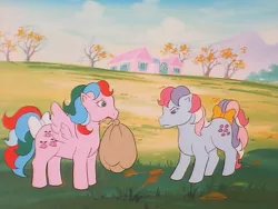 Size: 960x720 | Tagged: safe, derpibooru import, screencap, sweet stuff, whizzer, earth pony, pegasus, pony, twinkle eyed pony, my little pony 'n friends, sweet stuff and the treasure hunt, bow, duo, female, g1, image, mare, png, tail, tail bow