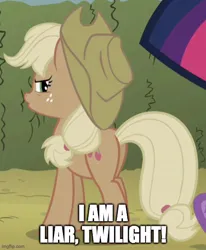 Size: 500x608 | Tagged: safe, derpibooru import, edit, edited screencap, screencap, applejack, twilight sparkle, earth pony, pony, the return of harmony, applebutt, applejack's hat, blatant lies, butt, caption, cowboy hat, cropped, disappeared in a poof of logic, discorded, female, hat, image, image macro, imgflip, irony, jpeg, liarjack, looking back, mare, paradox, plot, solo focus, text