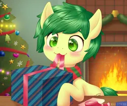 Size: 2420x2022 | Tagged: safe, artist:generalecchi, derpibooru import, oc, oc:emerald mask, unofficial characters only, pony, christmas, christmas tree, fire, fireplace, holiday, image, png, solo, tree