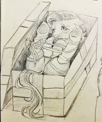 Size: 2122x2538 | Tagged: suggestive, artist:tulidewo, derpibooru import, doctor whooves, time turner, pony, bondage, box, gift wrapped, image, jpeg, one eye closed, pony in a box, present, sketch, traditional art
