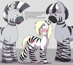 Size: 4000x3604 | Tagged: suggestive, artist:spakka5, derpibooru import, oc, oc:aryanne, pony, zebra, /trash/, 4chan, aryanne getting striped, blushing, criminally bad rhyming, image, implied sex, implied zebradom, png, striped, text, zebra stripes, zebra supremacy