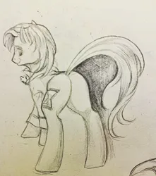 Size: 2268x2567 | Tagged: safe, artist:tulidewo, derpibooru import, doctor whooves, time turner, earth pony, pony, butt, fifth doctor, high res, image, jpeg, male, plot, sketch, stallion, traditional art