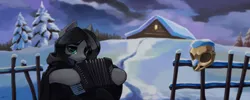 Size: 1920x768 | Tagged: safe, artist:dipfanken, derpibooru import, oc, unofficial characters only, pony, accordion, album cover, black metal, image, musical instrument, png, skull, snow, solo, winter