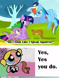 Size: 450x600 | Tagged: safe, derpibooru import, edit, edited screencap, screencap, rainbow dash, spike, twilight sparkle, dragon, human, pegasus, pony, squirrel, unicorn, hurricane fluttershy, season 2, bubbles (powerpuff girls), female, image, jpeg, male, mare, my little brony, tara strong, the powerpuff girls, unicorn twilight, voice actor joke