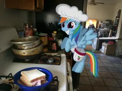 Size: 3264x2448 | Tagged: safe, artist:crusierpl, artist:tmntmlp4ever2000, derpibooru import, rainbow dash, pony, food, image, irl, jpeg, photo, ponies in real life, sandwich, solo