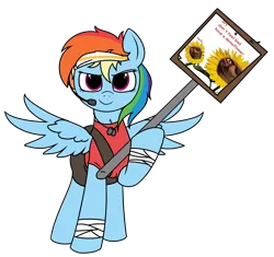 Size: 3035x2858 | Tagged: safe, derpibooru import, edit, rainbow dash, /mlp/ tf2 general, bandage, conscientious objector, demoman, flower, image, png, scout, sign, sunflower