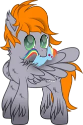 Size: 2039x3091 | Tagged: safe, artist:lincolnbrewsterfan, derpibooru import, rainbow dash, oc, oc:dreamy orange, pegasus, pony, derpibooru community collaboration, 2023 community collab, butt fluff, chest fluff, chin fluff, cloud, cute, cute face, cute smile, derpibooru exclusive, ear fluff, female, fluffy mane, fluffy tail, green eyes, grooming, holding, image, looking at you, male, mare, mouth hold, multicolored mane, multicolored tail, neck fluff, ocbetes, one wing out, orange mane, orange tail, pegasus oc, plushie, png, preening, simple background, smiling, smiling at you, spread wings, stallion, stallion oc, striped mane, striped tail, tail, transparent background, unshorn fetlocks, wing fluff, wings