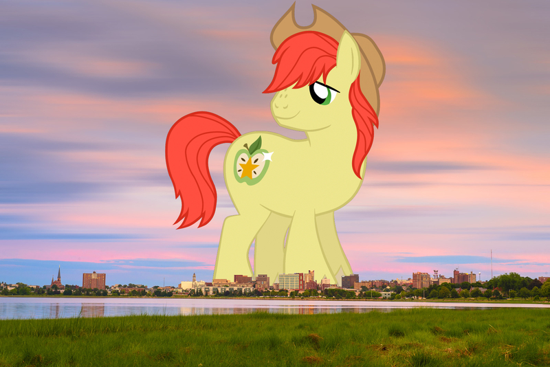 Size: 1600x1068 | Tagged: safe, artist:jaredking779, artist:magpie-pony, derpibooru import, bright mac, earth pony, pony, cowboy hat, giant pony, giant/macro earth pony, hat, highrise ponies, image, irl, jpeg, macro, maine, male, mega giant, photo, ponies in real life, portland, stallion, stetson, story included