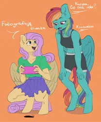 Size: 1707x2048 | Tagged: safe, artist:chibadeer, derpibooru import, fluttershy, rainbow dash, anthro, pegasus, unguligrade anthro, duo, image, jpeg, polish, translated in the comments