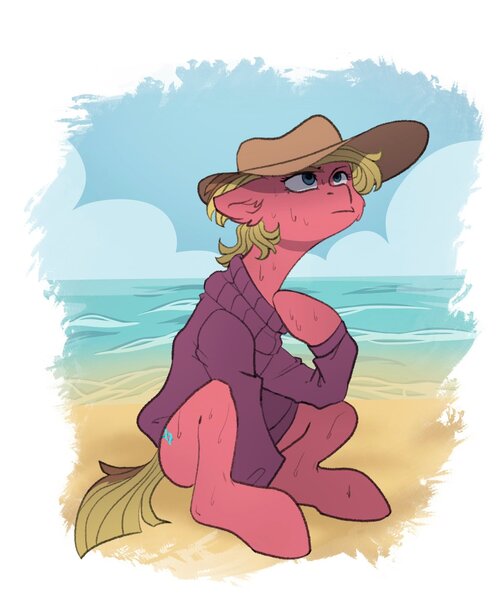 Size: 1706x2048 | Tagged: safe, artist:chibadeer, derpibooru import, oc, unofficial characters only, earth pony, pony, beach, clothes, floppy ears, hat, image, jpeg, solo, sweater
