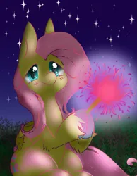 Size: 921x1185 | Tagged: safe, artist:pagophasia, derpibooru import, fluttershy, pegasus, pony, colored hooves, cute, derpibooru exclusive, eye reflection, female, grass, image, impossibly long eyelashes, looking at you, night, png, raised hoof, reflection, shyabetes, sitting, smiling, smiling at you, solo, sparkler (firework), stars, unshorn fetlocks, wings