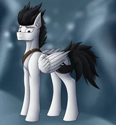 Size: 2176x2332 | Tagged: safe, artist:wailks, derpibooru import, oc, oc:zweihander blood, unofficial characters only, pegasus, pony, belt, ear fluff, image, jpeg, looking at you, male, mountain, pegasus oc, scabbard, snow, solo, stallion, weapon, wings, winter