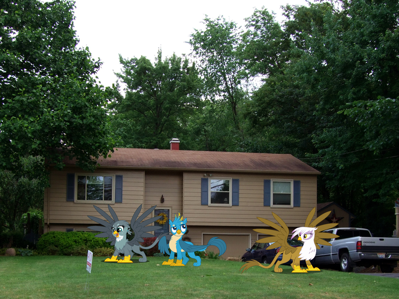 Size: 2160x1620 | Tagged: safe, artist:dashiesparkle, derpibooru import, gabby, gallus, gilda, gryphon, pony, car, female, house, image, irl, jpeg, male, ohio, photo, ponies in real life, spread wings, trio, wings, youngstown