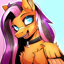 Size: 3000x3000 | Tagged: safe, artist:shidoodles, derpibooru import, oc, oc:blits adzalis, unofficial characters only, pegasus, pony, female, image, pegasus oc, png, solo, wings