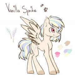 Size: 1312x1365 | Tagged: safe, artist:lambydwight, derpibooru import, oc, oc:vanilla spike, unofficial characters only, pegasus, pony, colored sketch, image, jpeg, reference sheet, simple background, white background