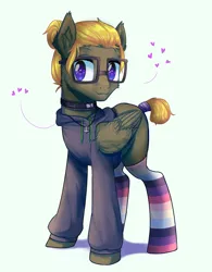 Size: 3872x4952 | Tagged: safe, artist:rvsbhrt, derpibooru import, oc, oc:donnik, unofficial characters only, pegasus, pony, clothes, collar, commission, glasses, heart, hoodie, image, jewelry, pendant, png, smiling, socks, solo, striped socks, ych result