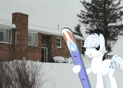 Size: 2100x1500 | Tagged: safe, artist:vectorizedunicorn, derpibooru import, double diamond, earth pony, pony, grin, house, image, iowa, irl, jpeg, looking at you, male, photo, ponies in real life, skis, smiling, solo, stallion