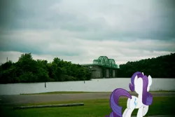 Size: 1600x1067 | Tagged: safe, artist:jaredking779, artist:psychoanalyticbrony, derpibooru import, rarity, pony, unicorn, butt, female, image, irl, jpeg, looking away, mare, nashville, photo, plot, ponies in real life, river, solo, tennessee, water