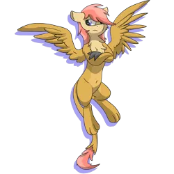 Size: 4504x4505 | Tagged: safe, artist:pzkratzer, derpibooru import, oc, oc:ponygriff, hippogriff, hybrid, pony, image, looking away, paws, png, ponygriff, simple background, solo, spread wings, unamused, wings