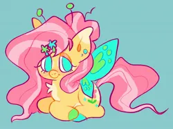 Size: 2048x1534 | Tagged: safe, artist:alexbeeza, derpibooru import, fluttershy, original species, 2022, abstract background, alternate cutie mark, alternate design, alternate hairstyle, antennae, big ears, blue background, chest fluff, coat markings, colored hooves, female, flower, flower in hair, gossamer wings, image, jpeg, lidded eyes, looking at you, simple background, solo, spread wings, wings